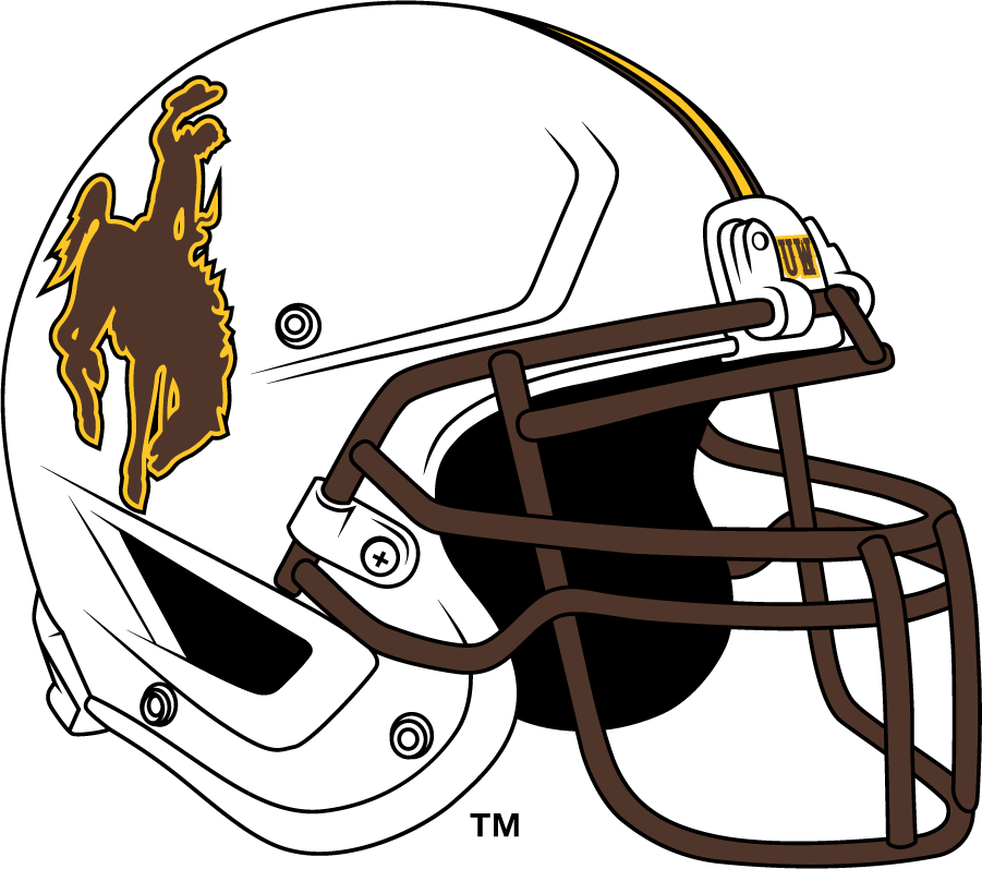 Wyoming Cowboys 2014-2021 Helmet diy DTF decal sticker